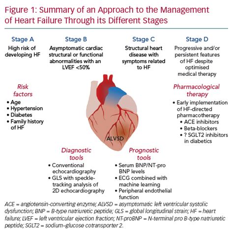 lv dysfunctie|asymptomatic lv systolic dysfunction.